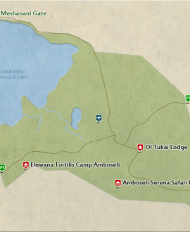 Amboseli National Park