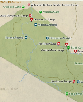 Masai Mara National Reserve